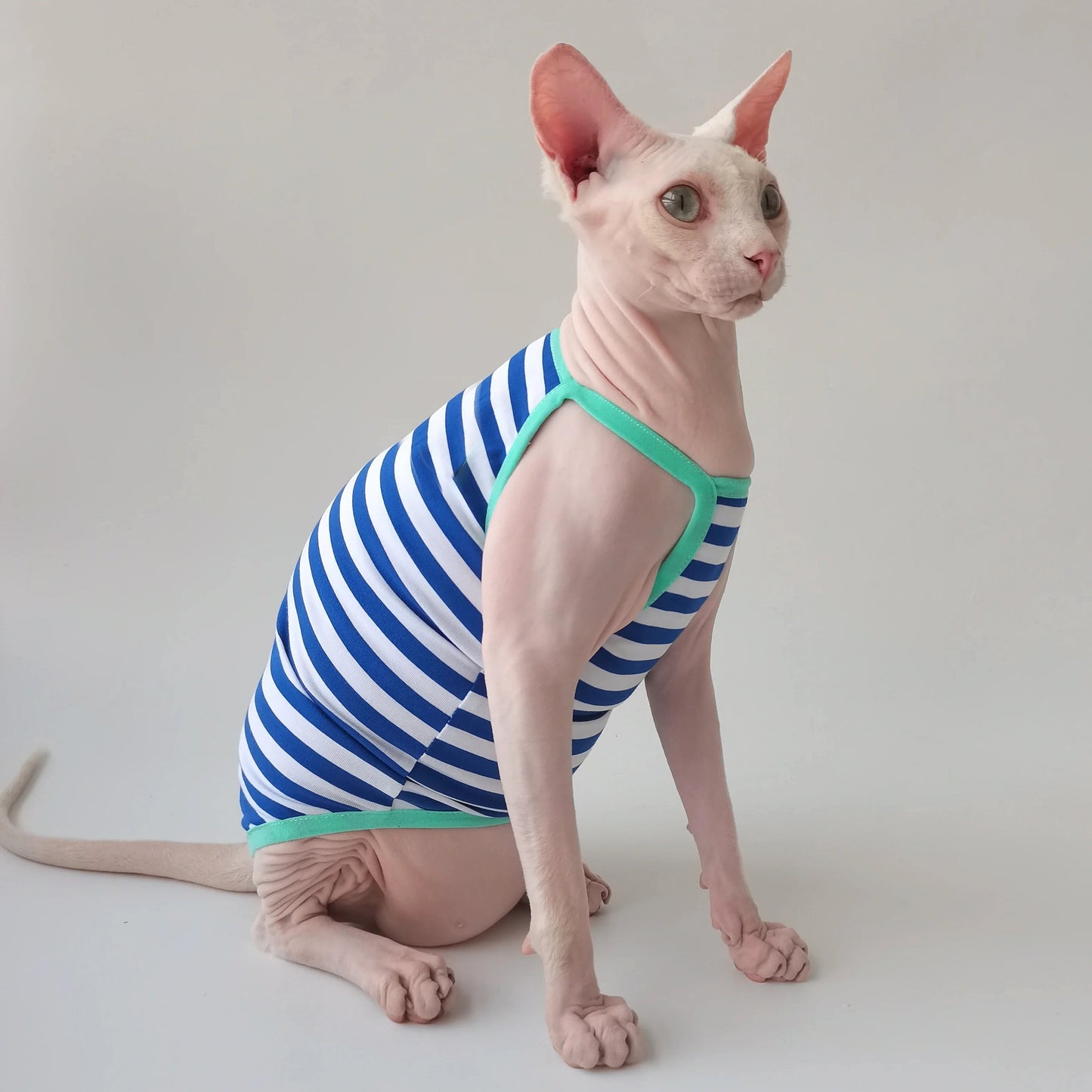 Contrast Sphynx Cat Spaghetti Strap Vests