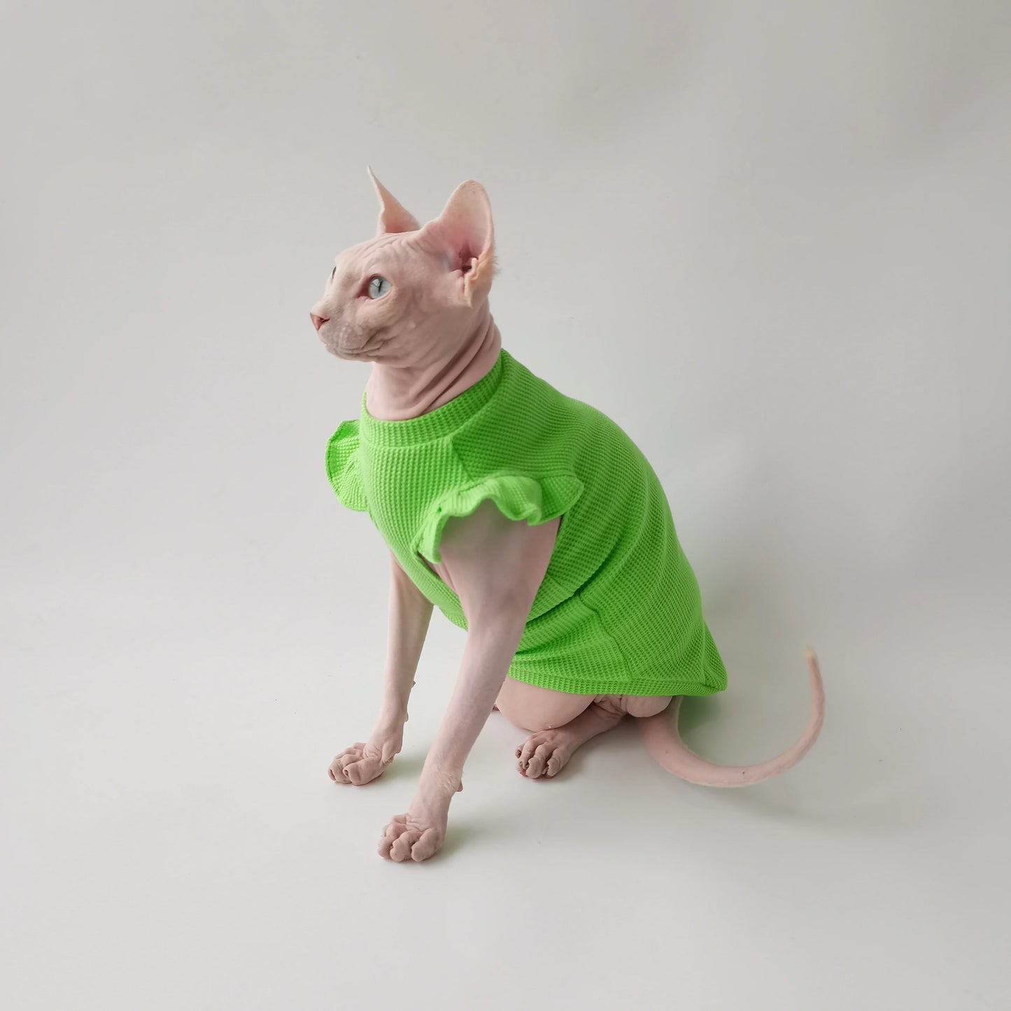 Petal Sleeves Sphynx Cat Vests
