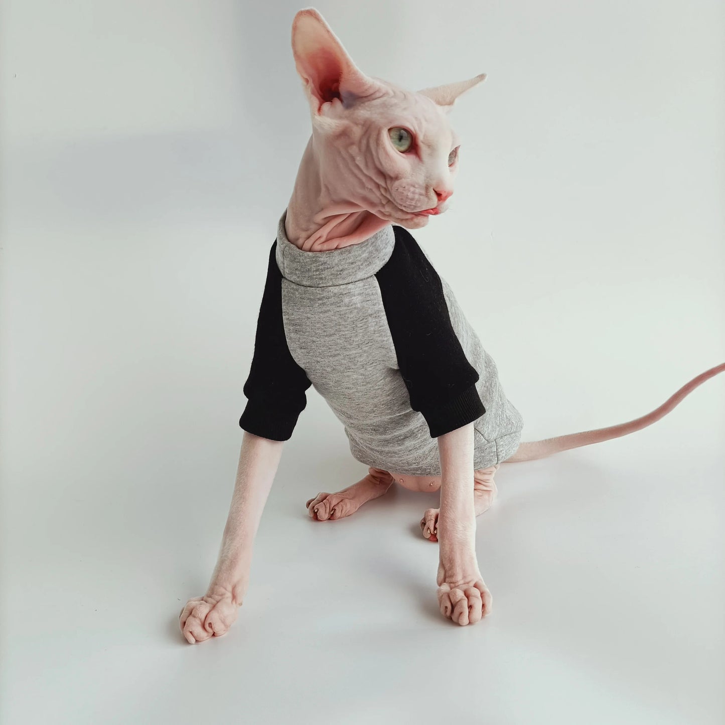 Sphynx Cat Sporty Sweatshirts