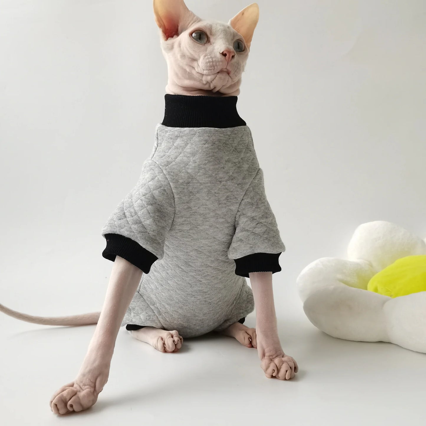Sphynx Cat Grey Jumpsuit Jacket