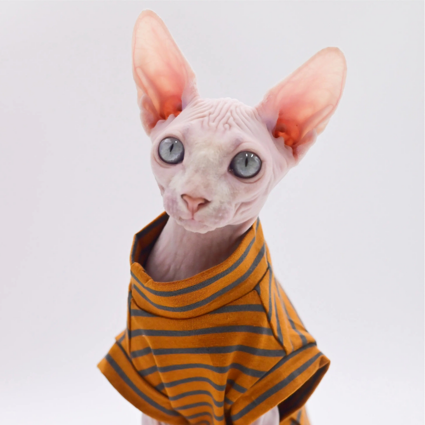 Striped Sphynx Cat Summer Vest T-shirt