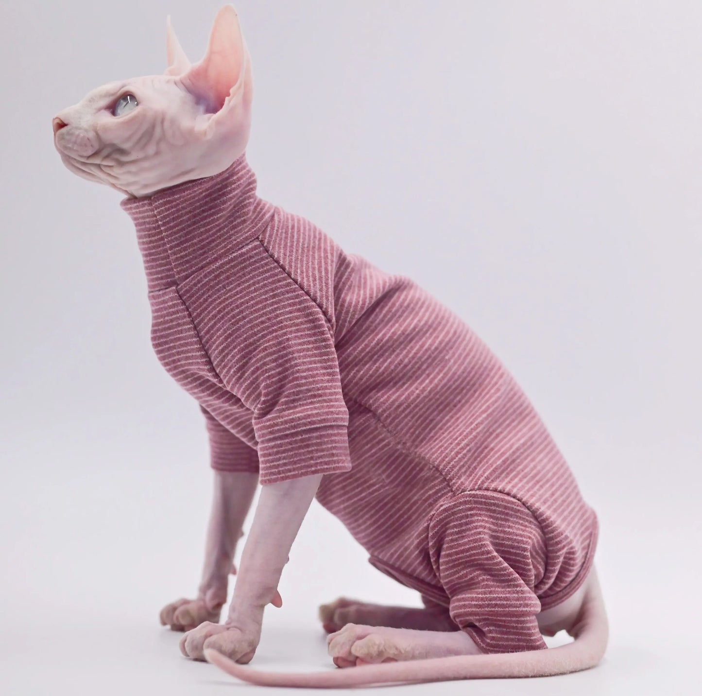 Striped Sphynx Cat 4-Leg Full Body Jumpsuit - Stonewashed Burgundy
