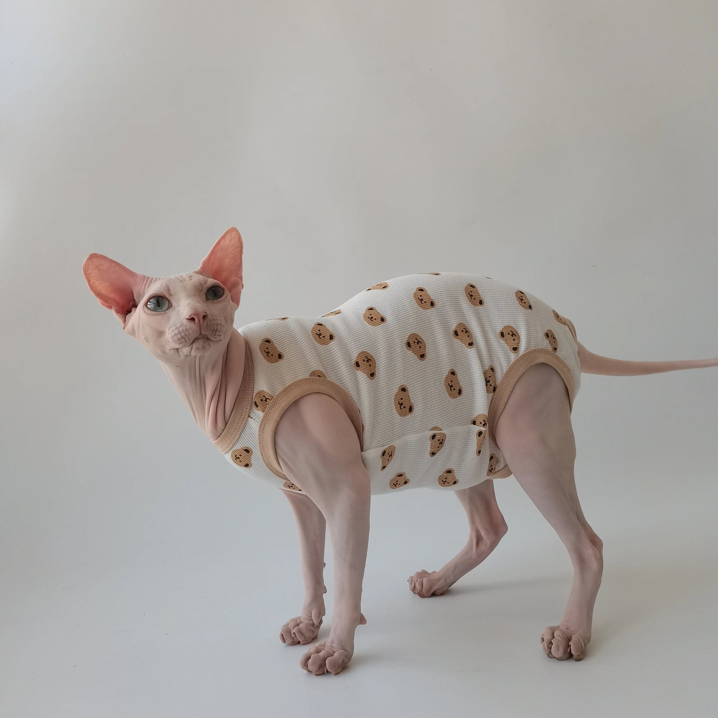 Teddy Bears Sphynx Cat Pyjamas Jumpsuit