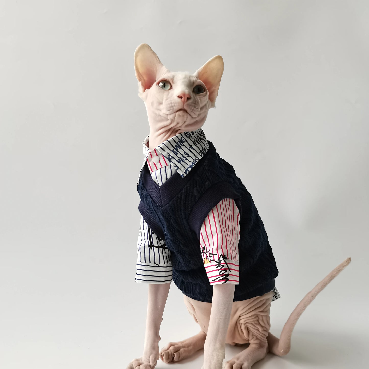 Sphynx Cat School Shirt & Jumper Vest