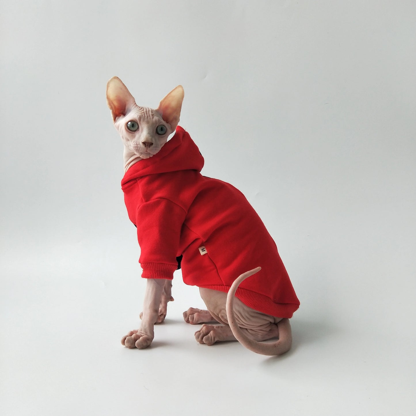 Split Colour Sweatshirt Sphynx Cat Hoodies