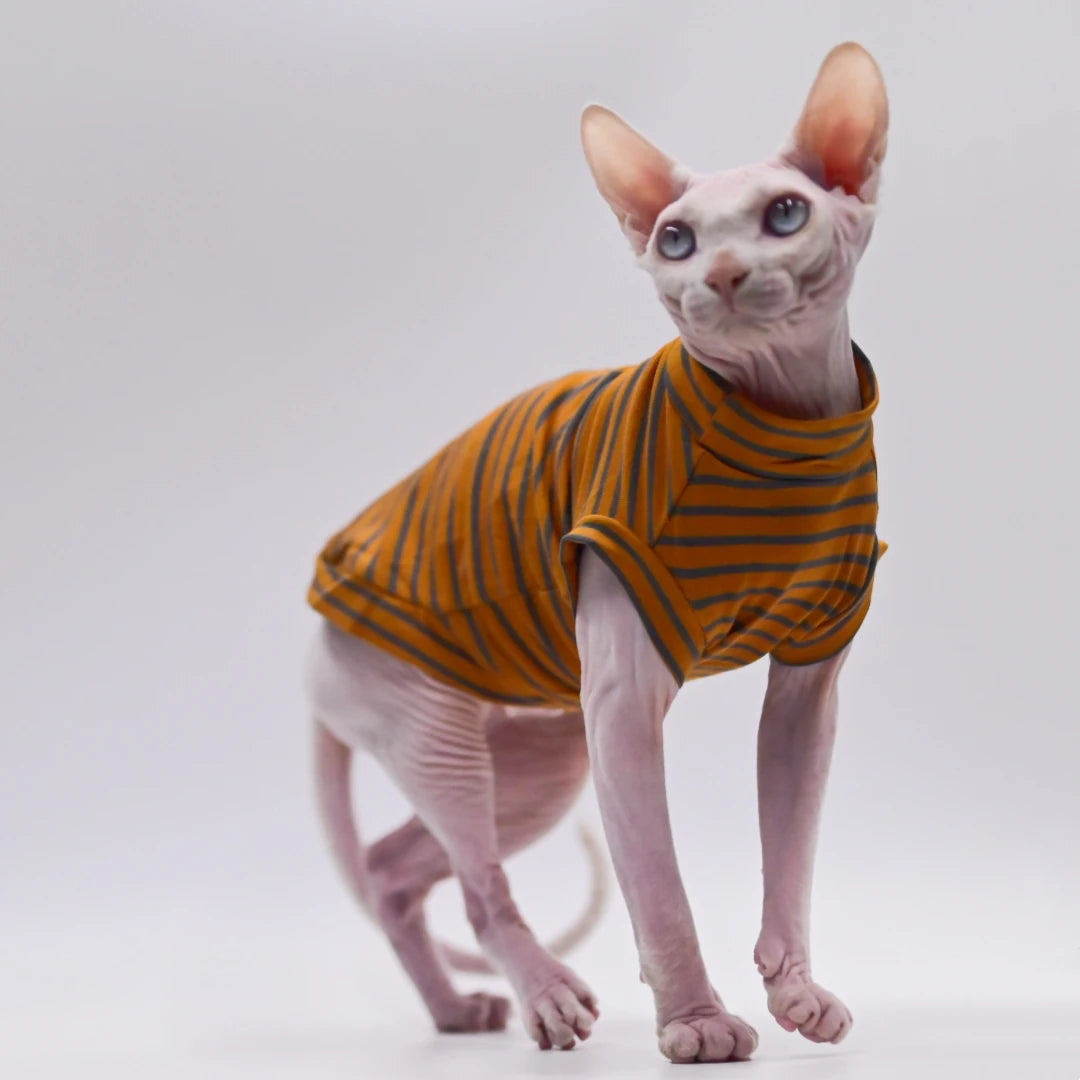 Striped Sphynx Cat Summer Vest T-shirt