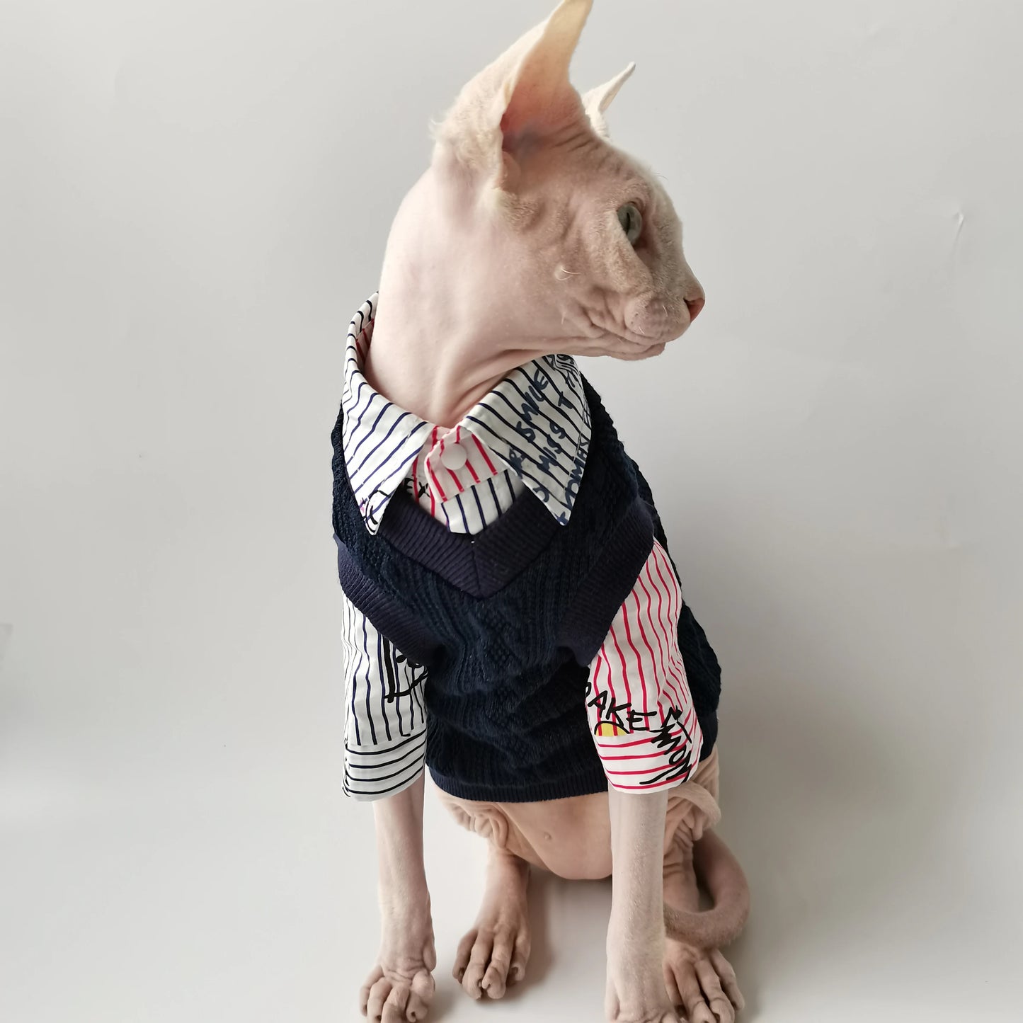 Sphynx Cat School Shirt & Jumper Vest