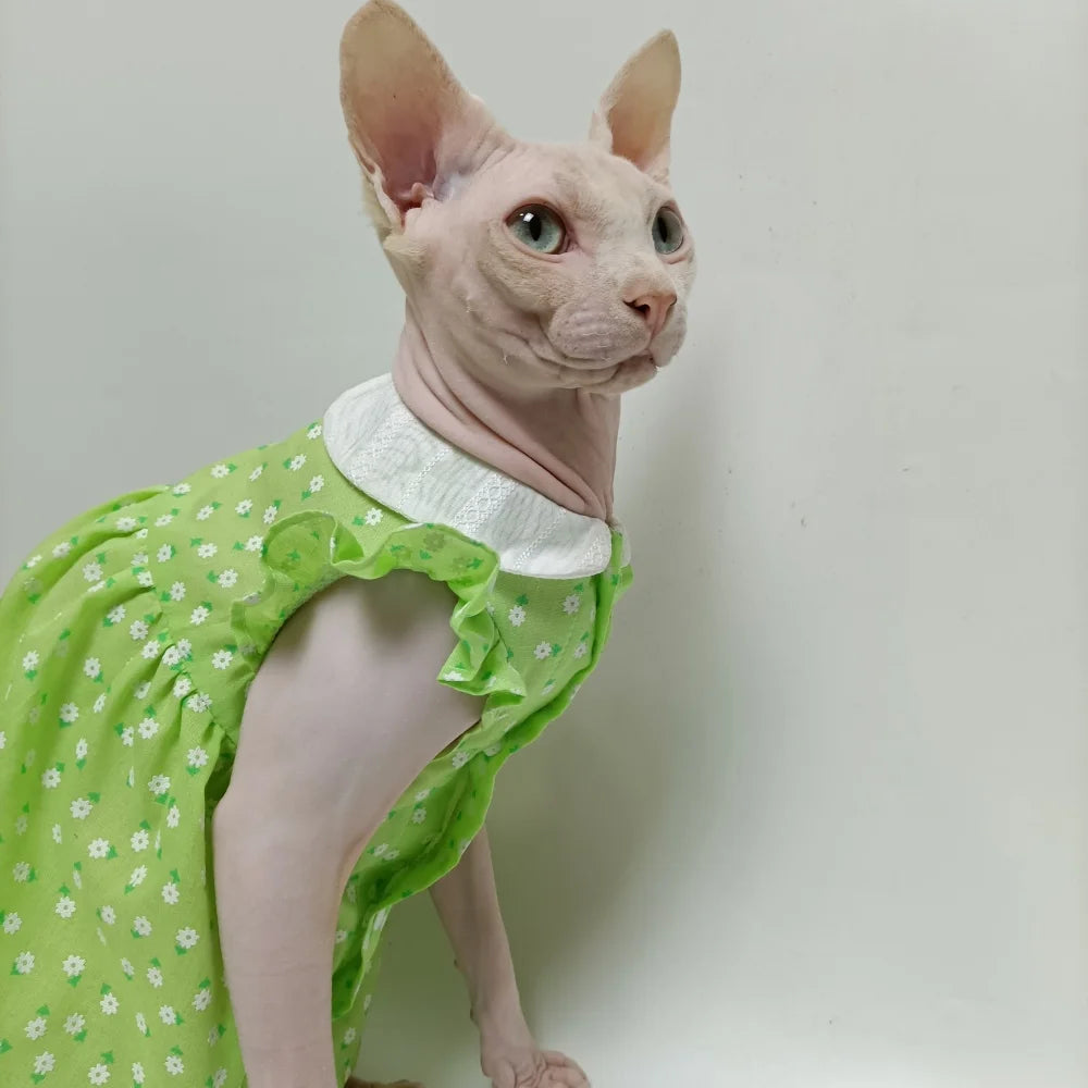 Floral Sphynx Cat Dress