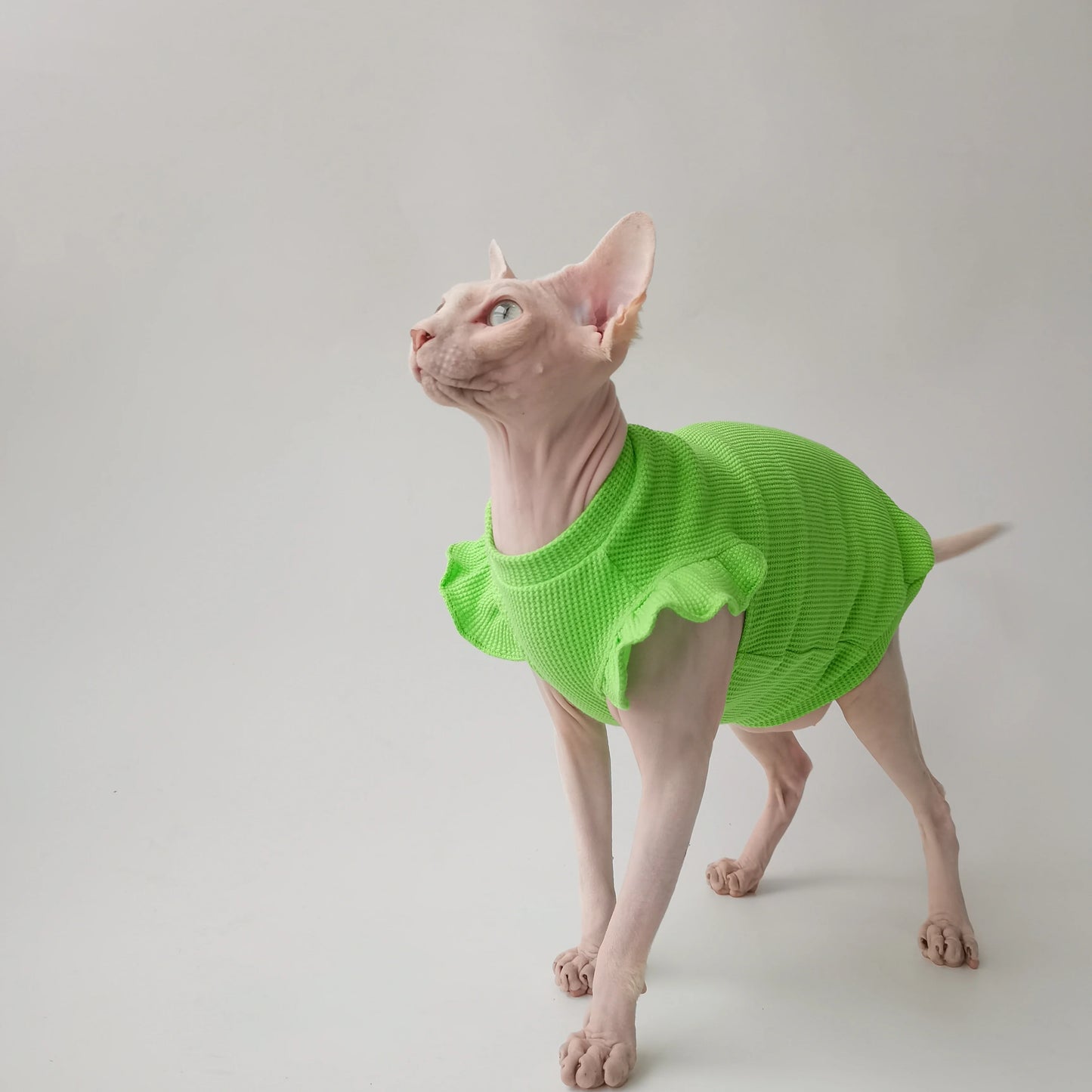 Petal Sleeves Sphynx Cat Vests