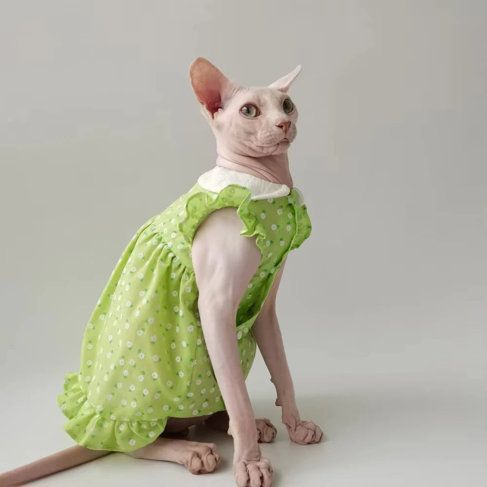Floral Sphynx Cat Dress
