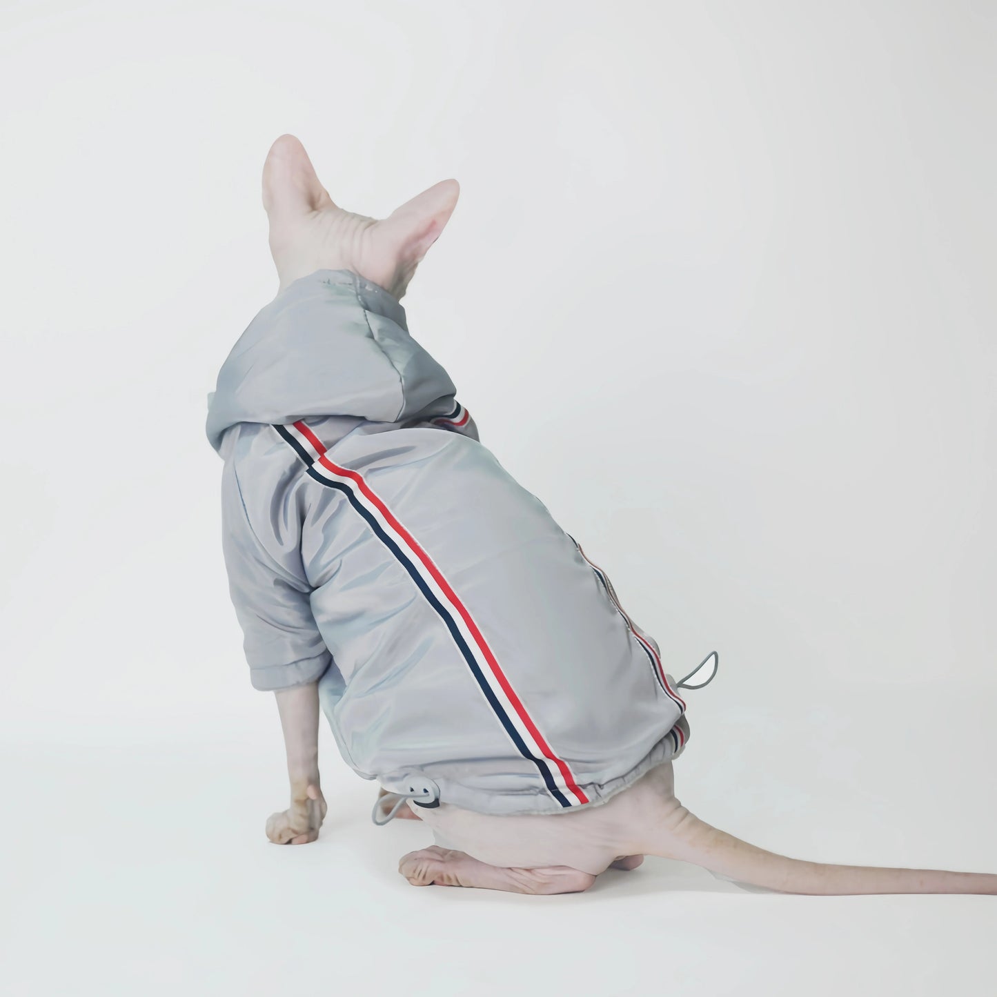 Super Warm Sphynx Cat Sport Jacket Hoody