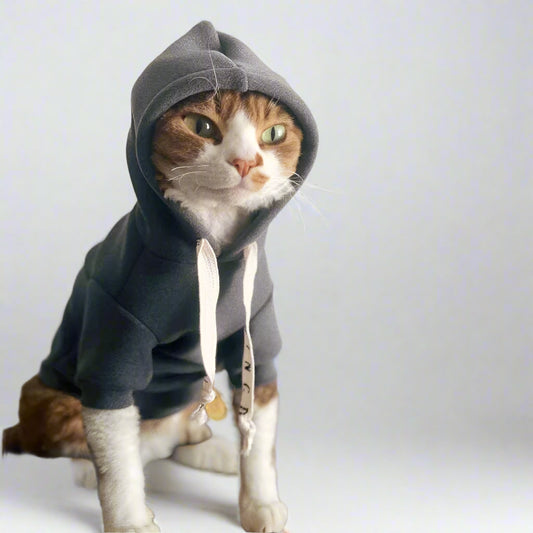 Warm Drawstring Sphynx Cat Hoody - Grey