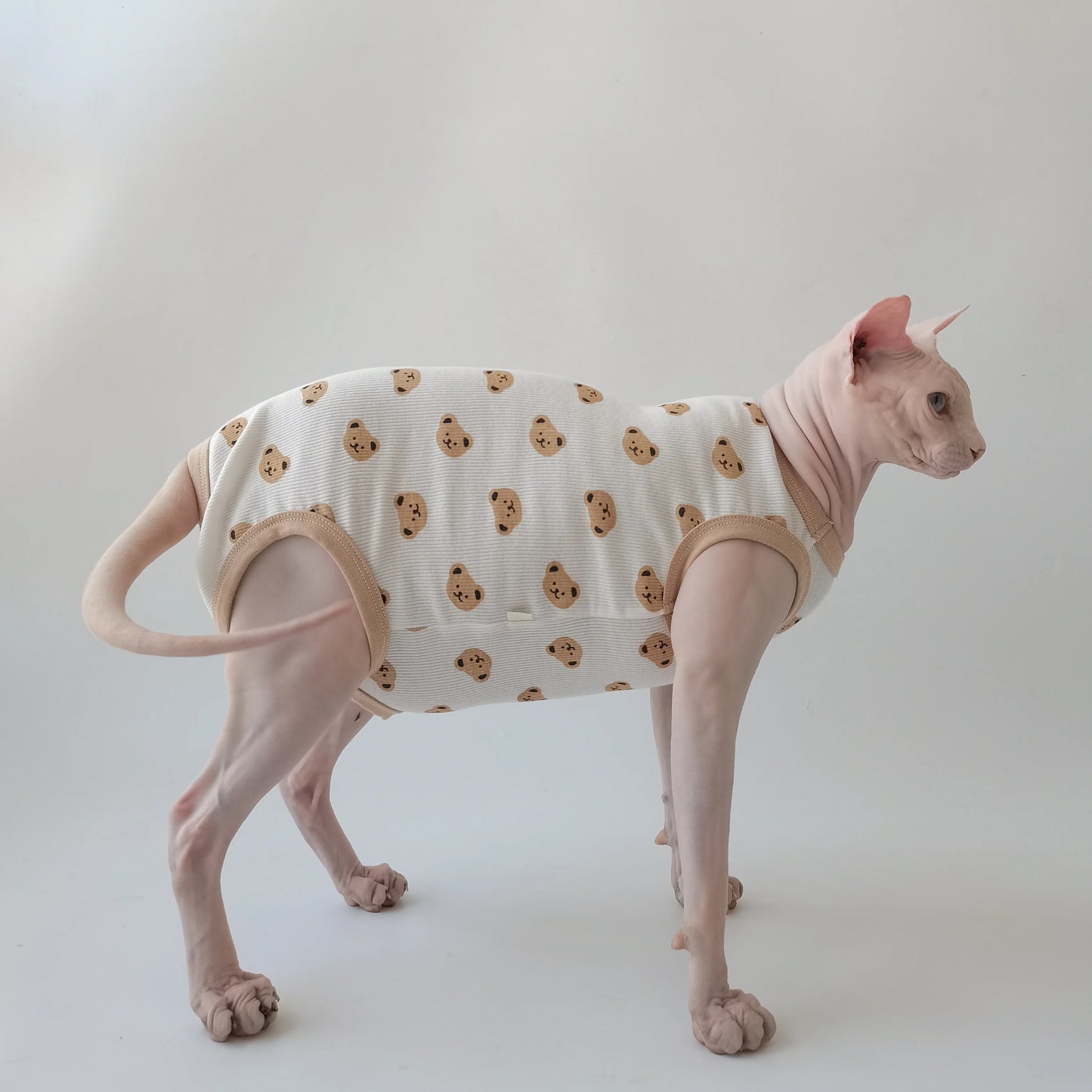 Teddy Bears Sphynx Cat Pyjamas Jumpsuit
