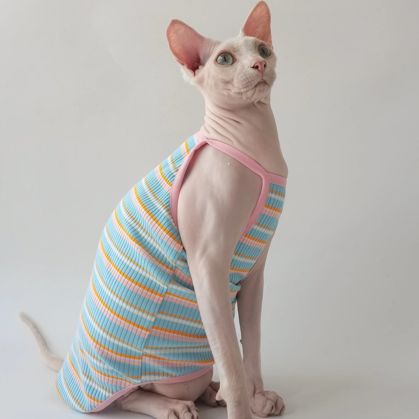 Contrast Sphynx Cat Spaghetti Strap Vests