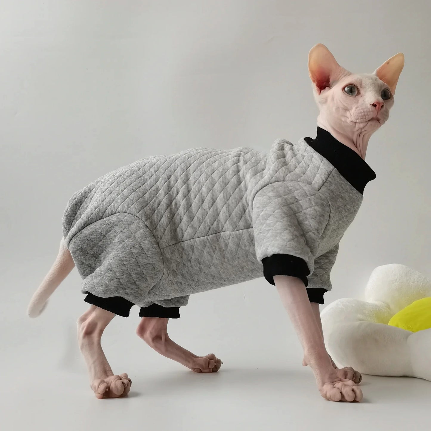 Sphynx Cat Grey Jumpsuit Jacket