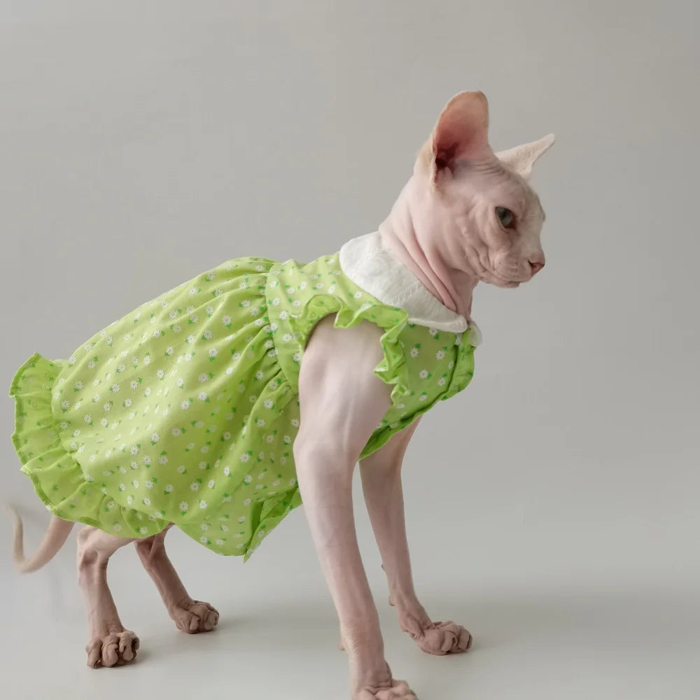 Floral Sphynx Cat Dress
