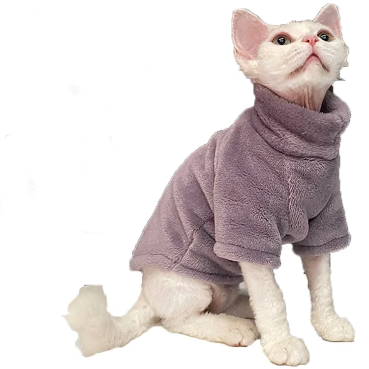 Sphynx Cat Teddy Polaire Wearable Couverture Pull Pull - Gris