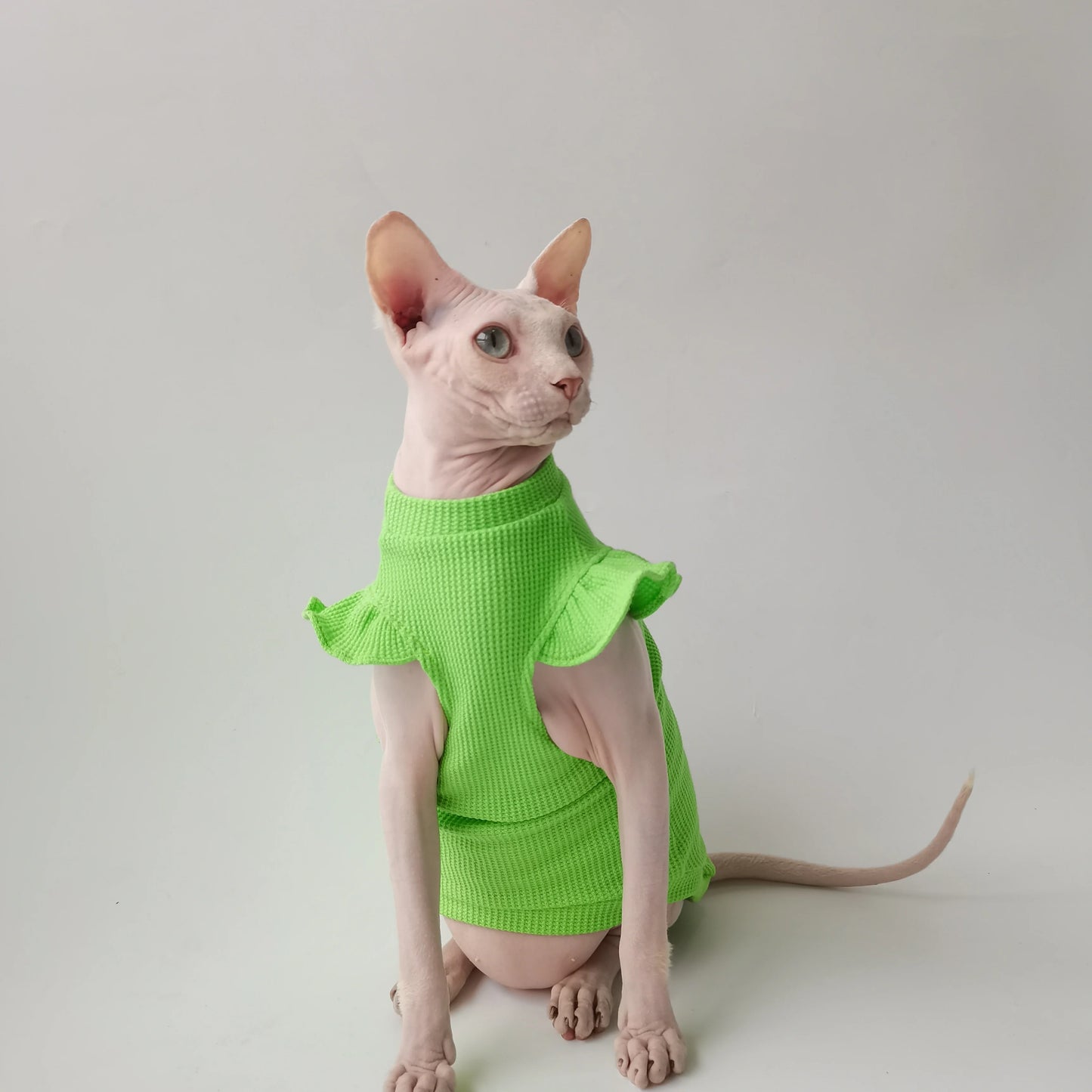 Petal Sleeves Sphynx Cat Vests