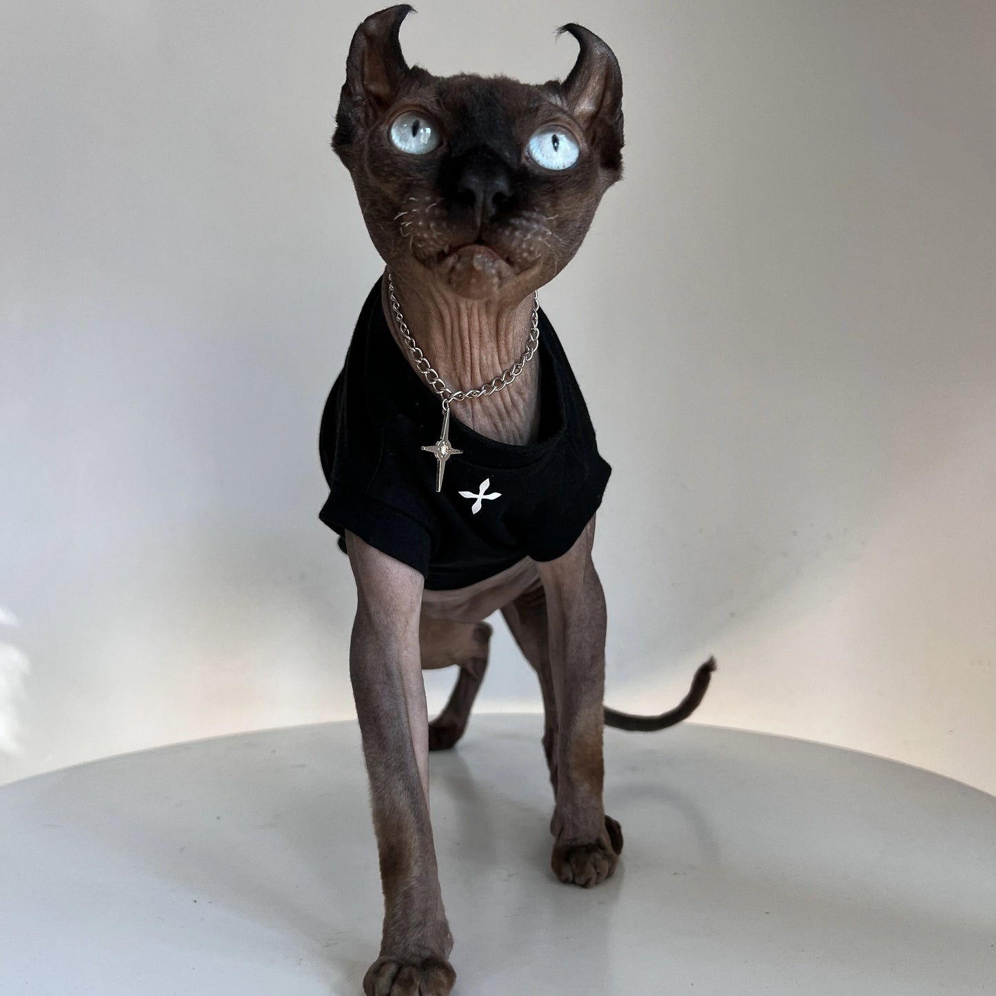 Cross Motif Sphynx Cat T-shirt