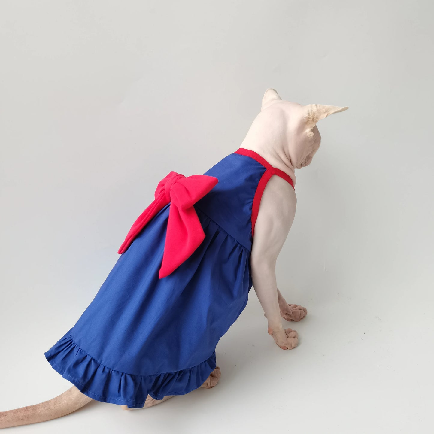 Blue & Red Bow Sphynx Cat Dress
