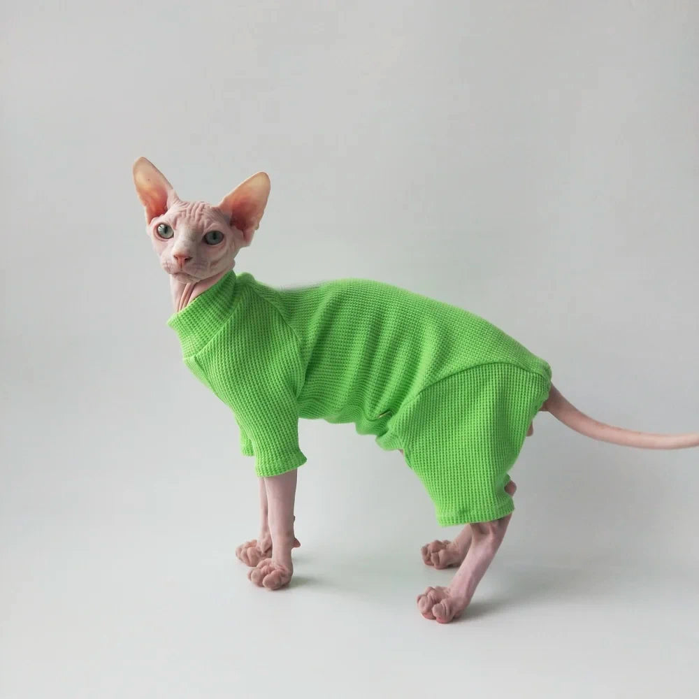 Sphynx Cat Jumpsuit & Body Warmer