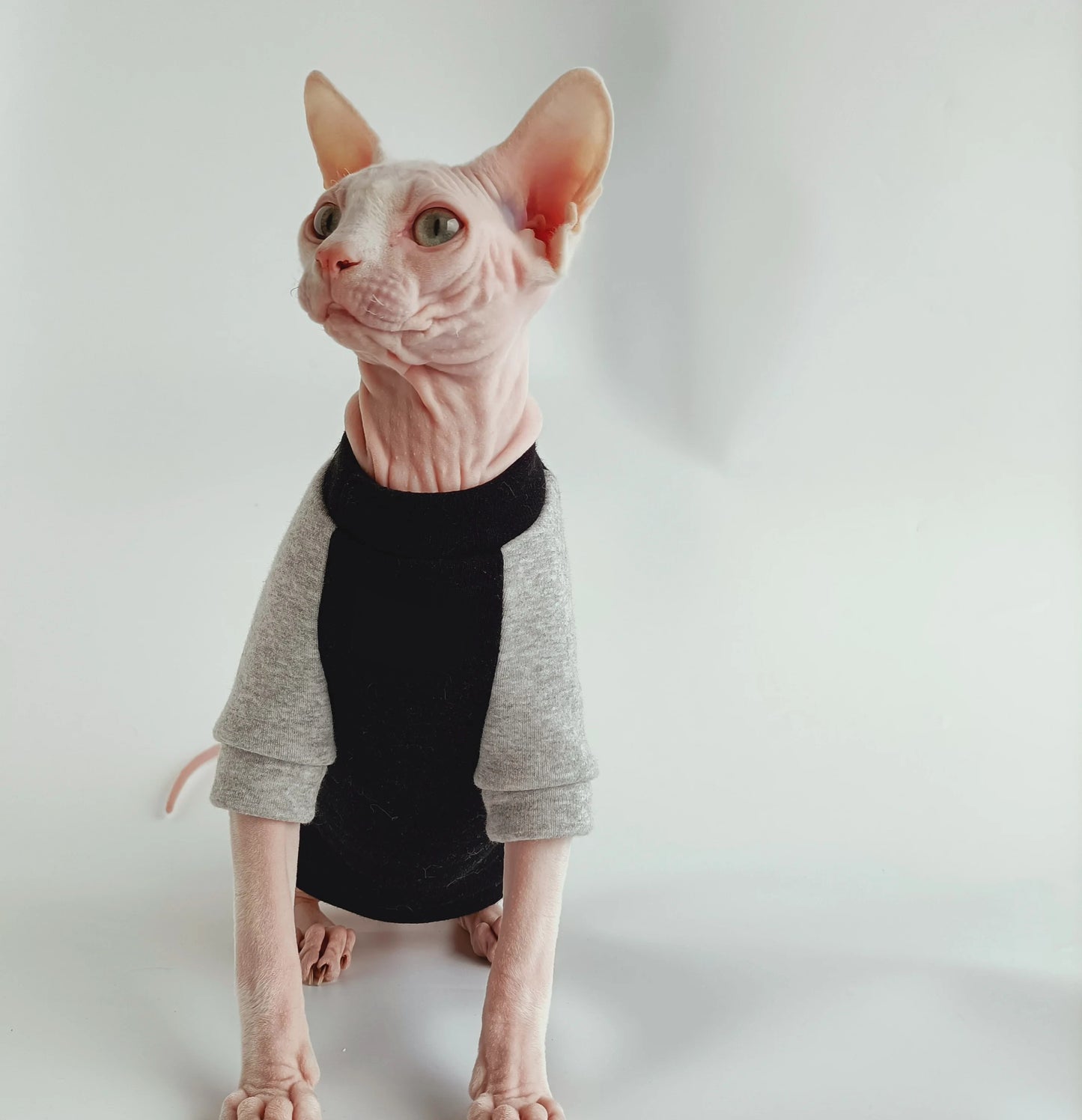 Sphynx Cat Sporty Sweatshirts