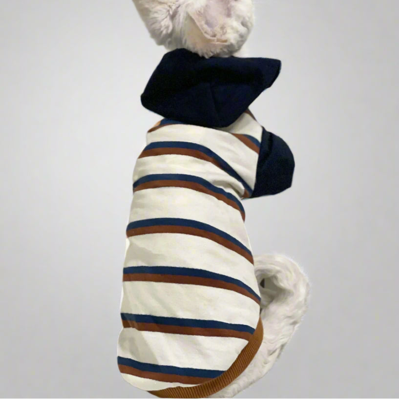 Oxford Striped Sphynx Cat Hoody