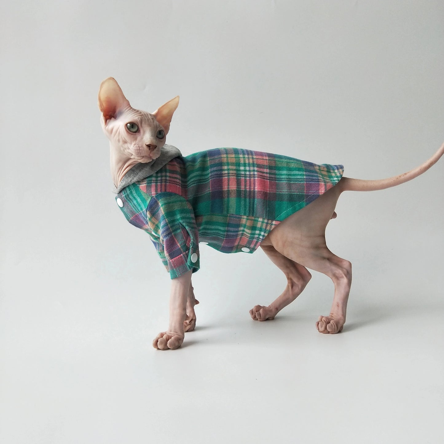 Warm Plaid Sphynx Cat Hoodies