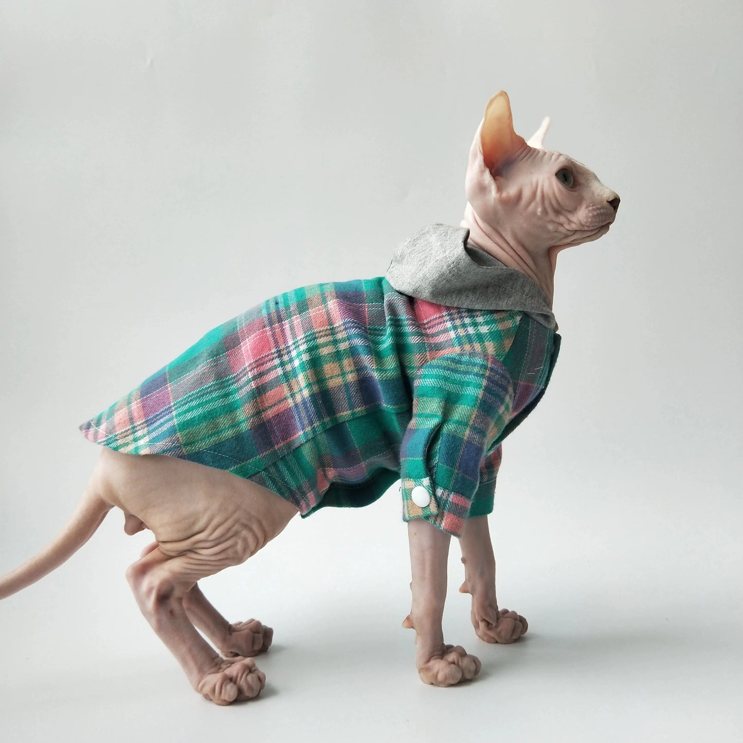 Warm Plaid Sphynx Cat Hoodies