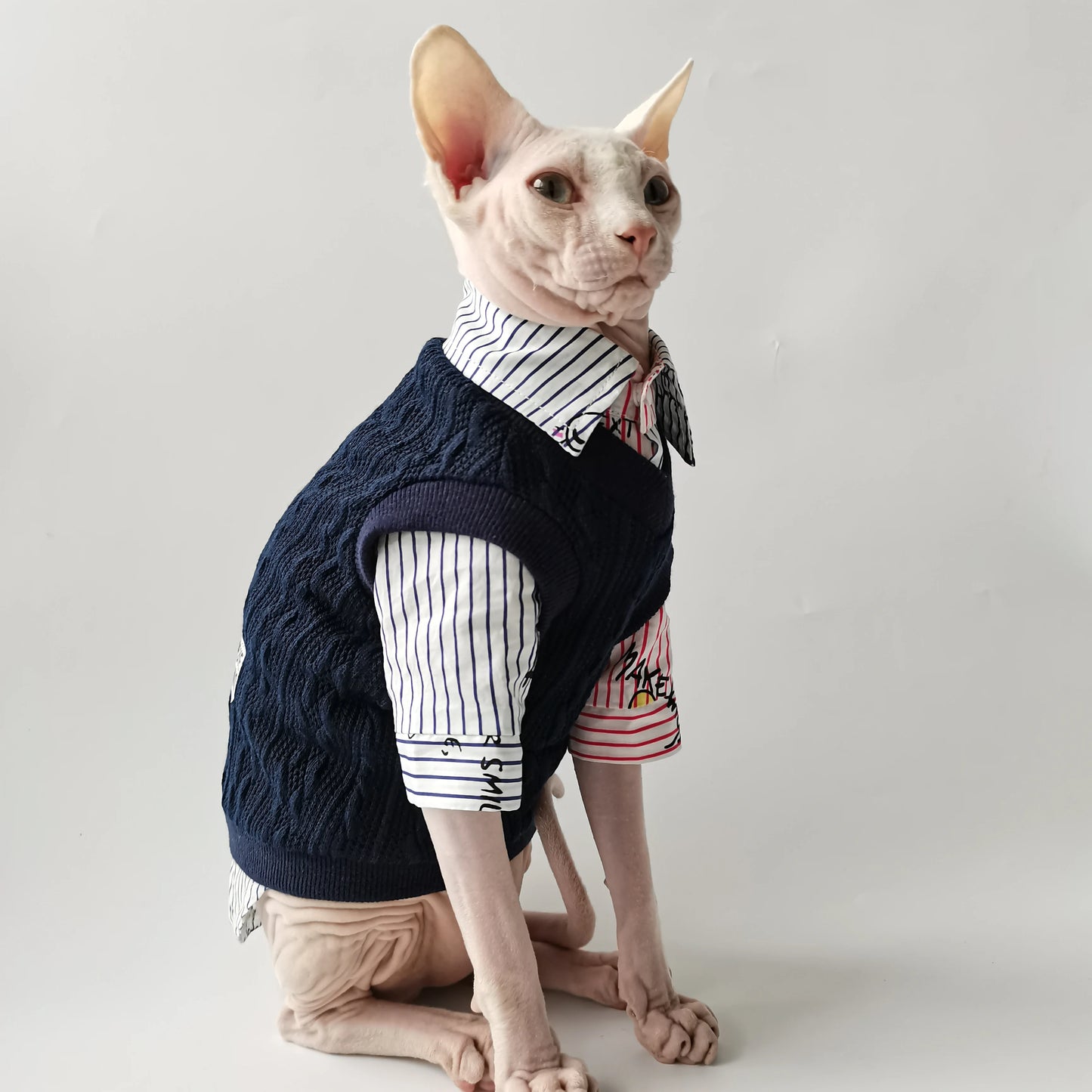 Sphynx Cat School Shirt & Jumper Vest