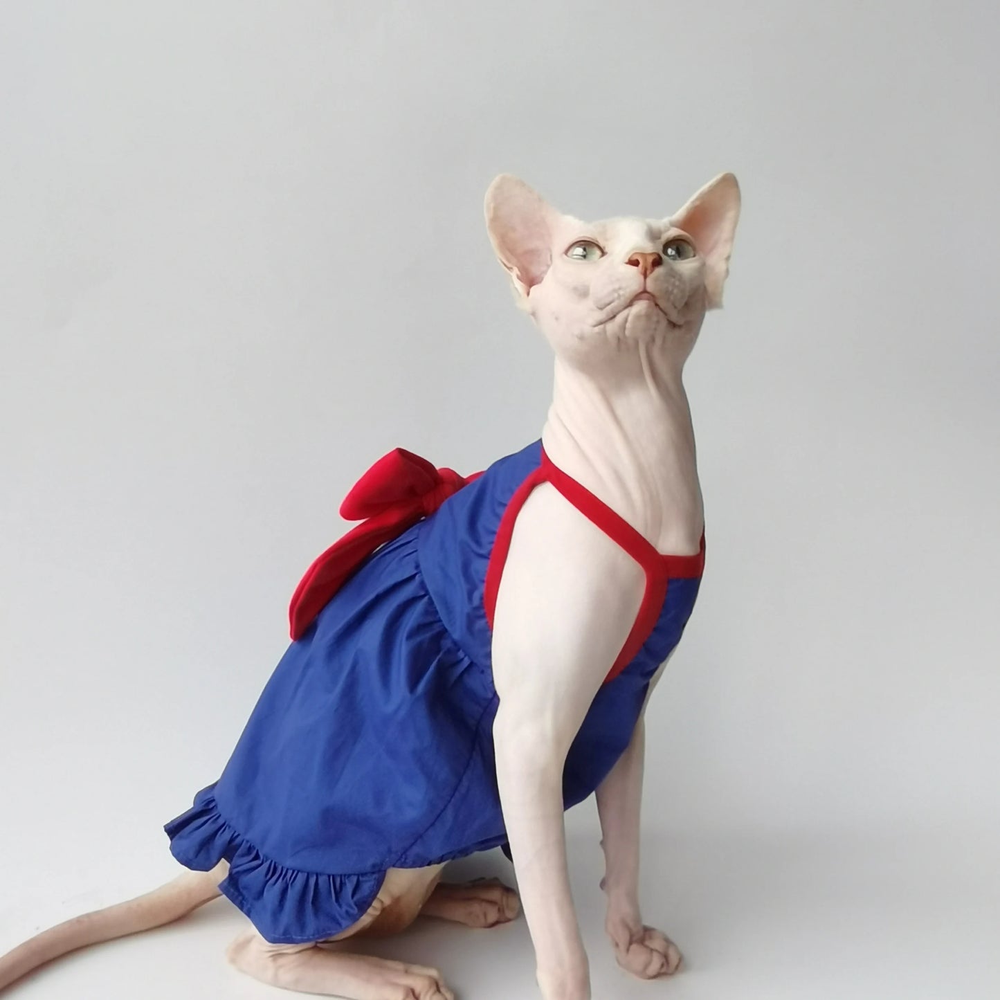 Blue & Red Bow Sphynx Cat Dress
