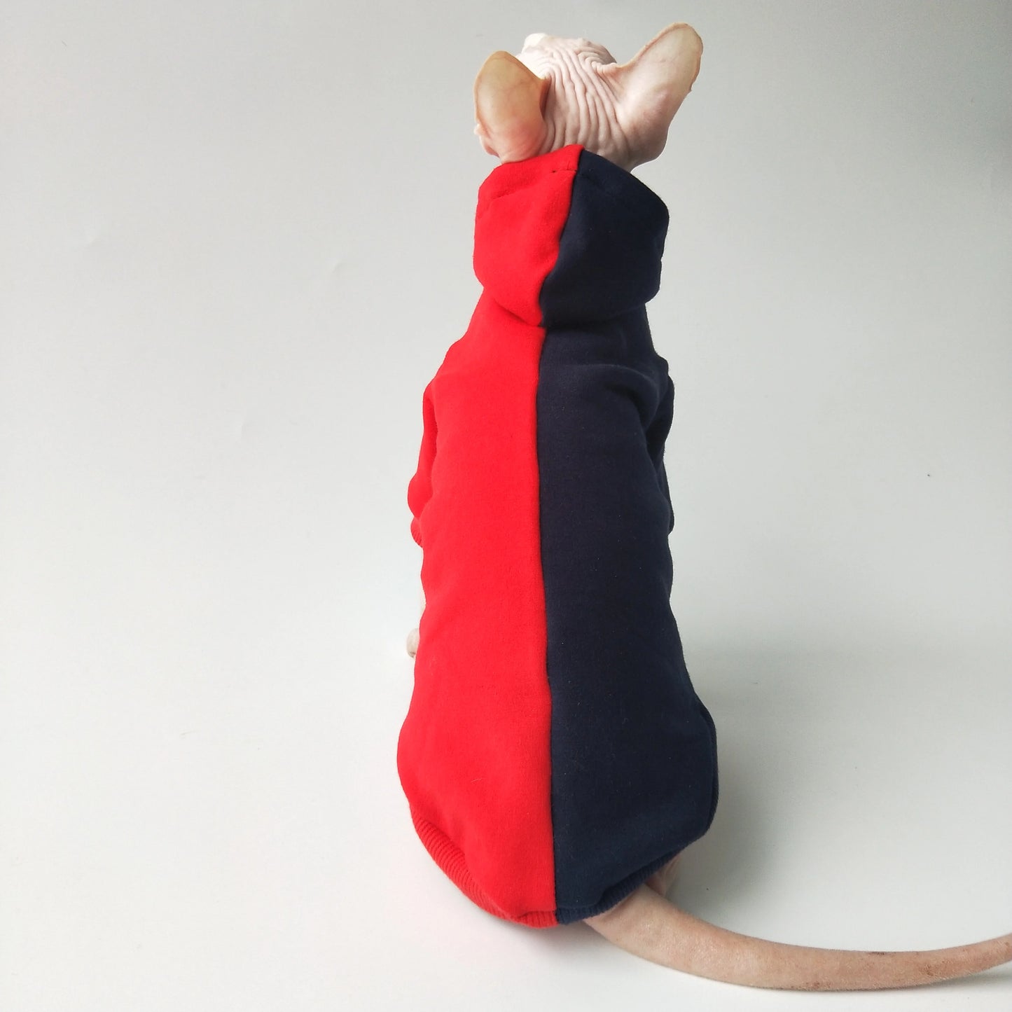 Split Colour Sweatshirt Sphynx Cat Hoodies