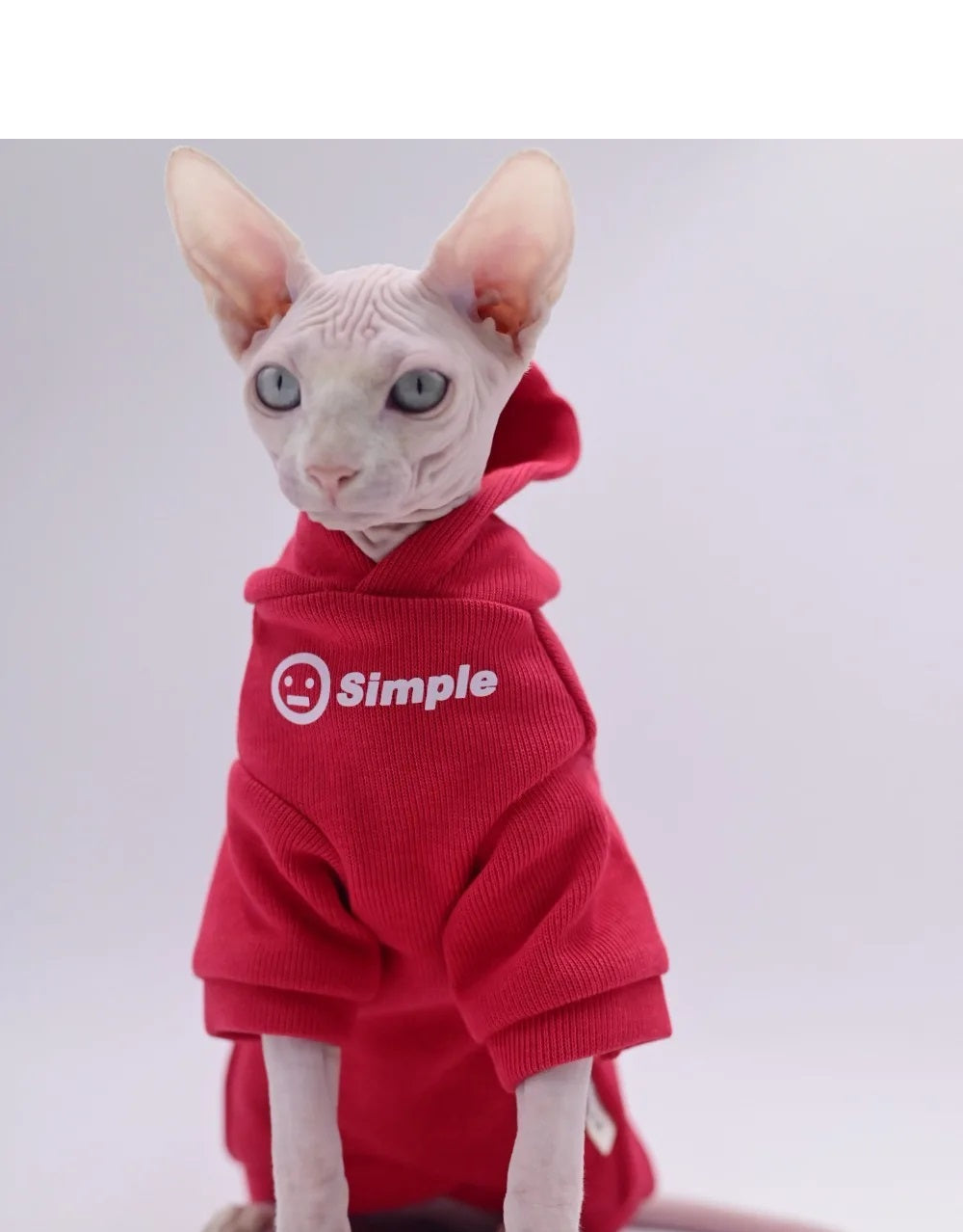 Sphynx Cat Simple Hoody - Red