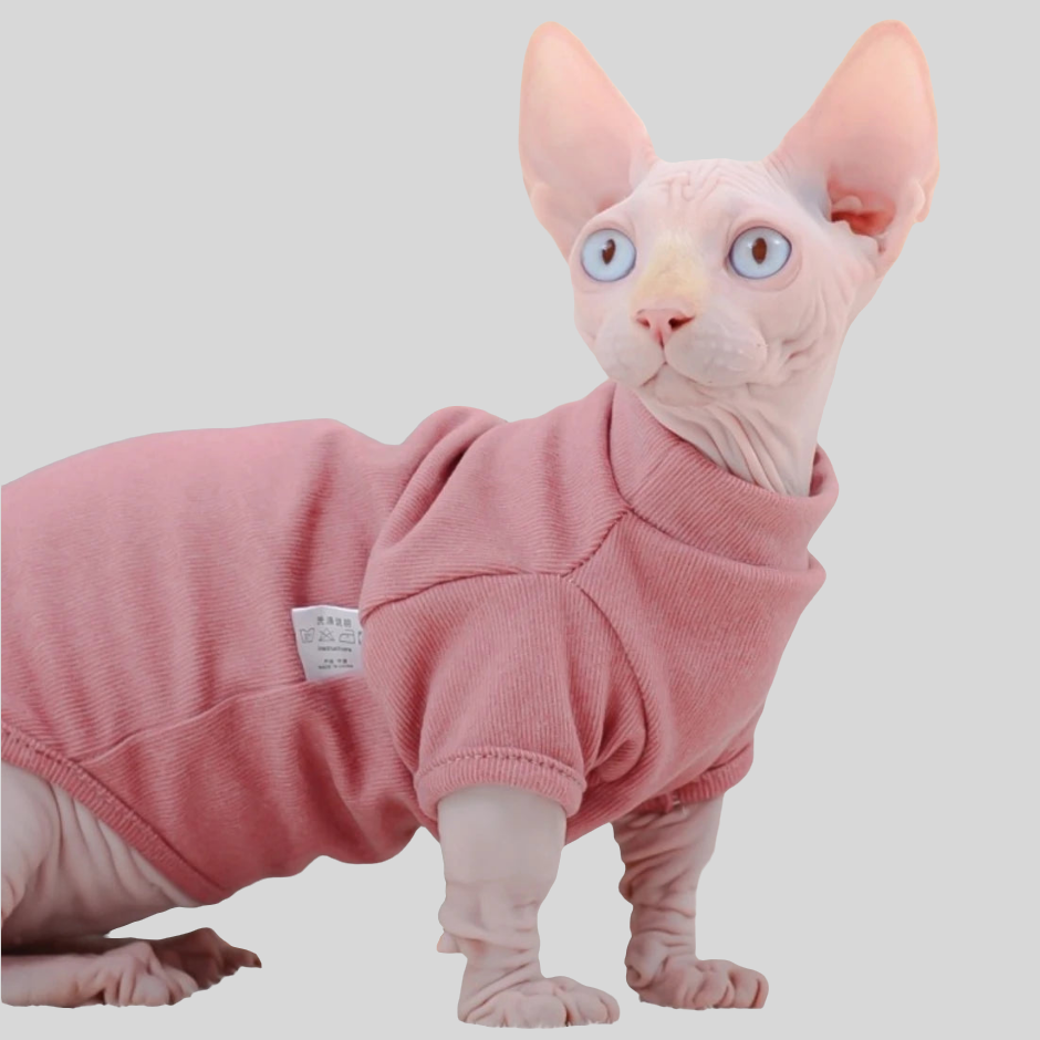 Basic Sphynx Cat T-shirt