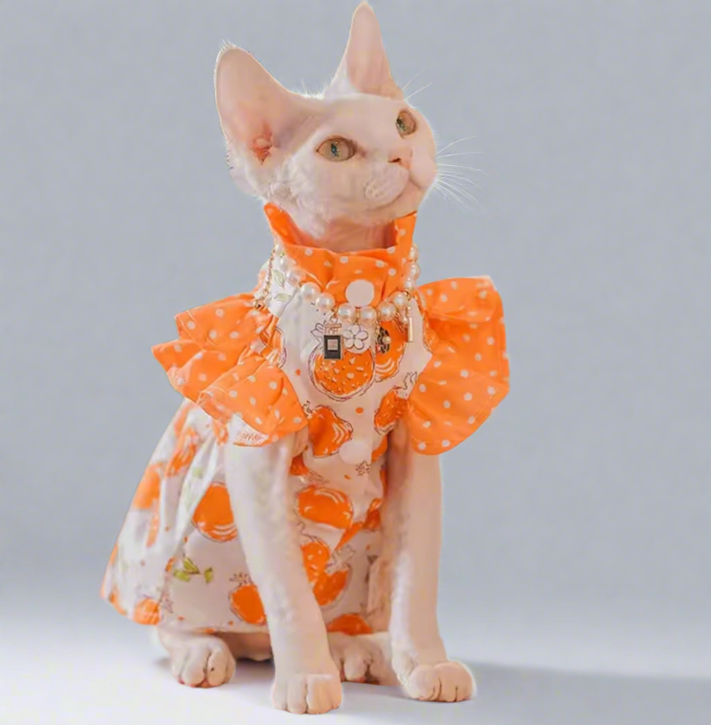 Pomegranate Fruit Sphynx Cat Dress