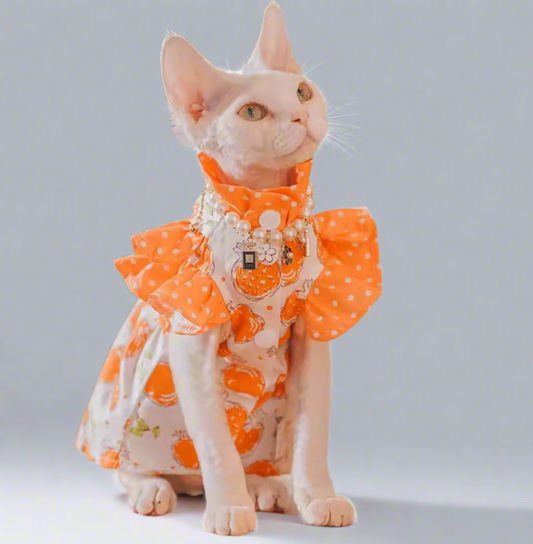 Pomegranate Fruit Sphynx Cat Dress