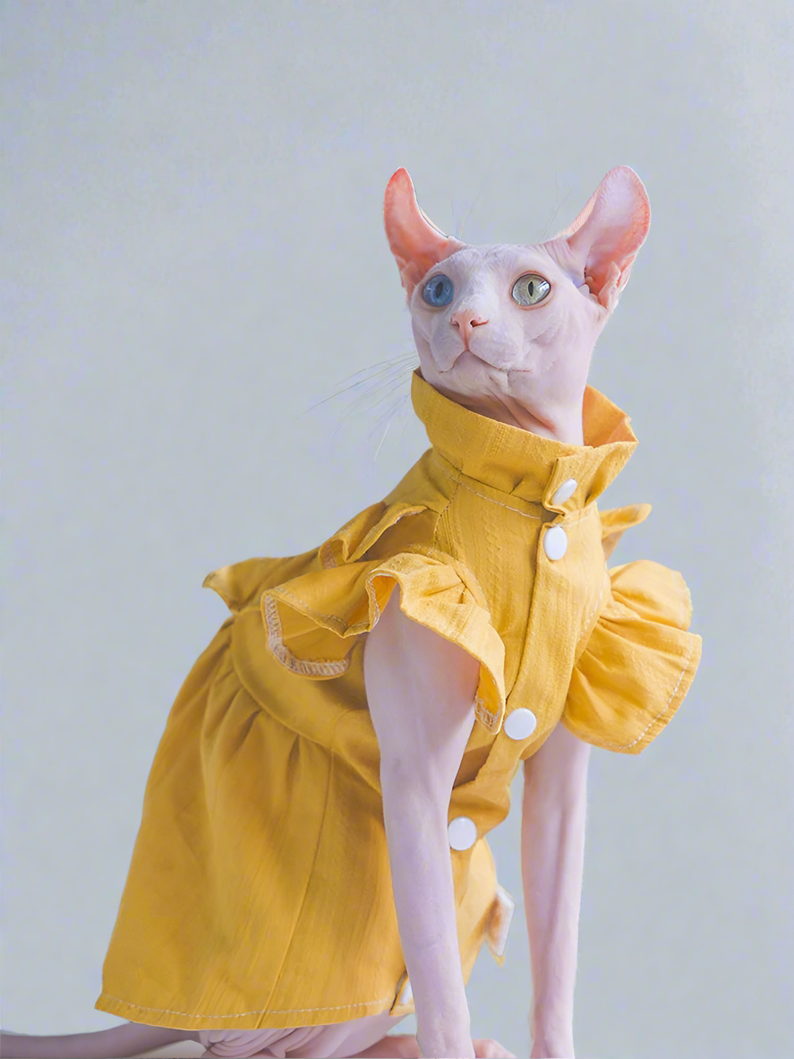 Mustard Yellow Cotton Sphynx Cat Dress