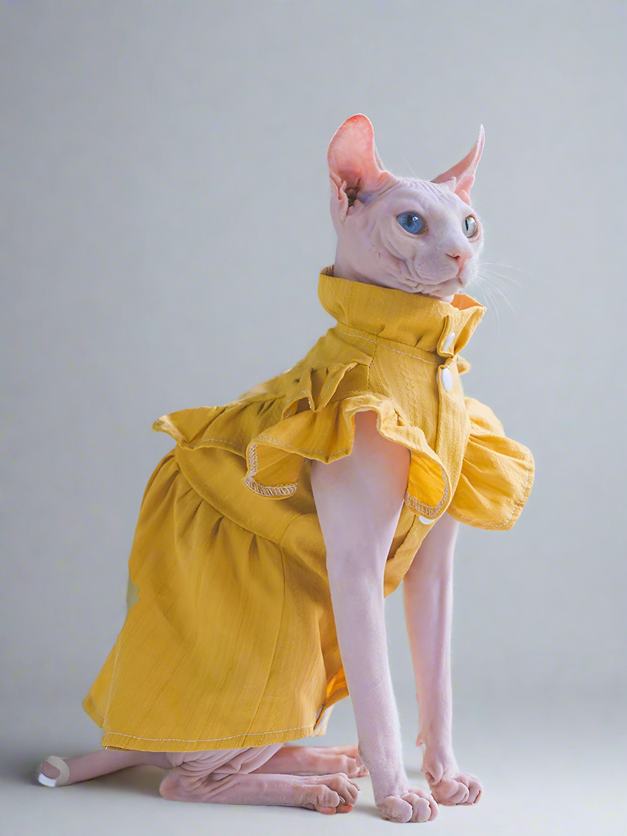 Mustard Yellow Cotton Sphynx Cat Dress