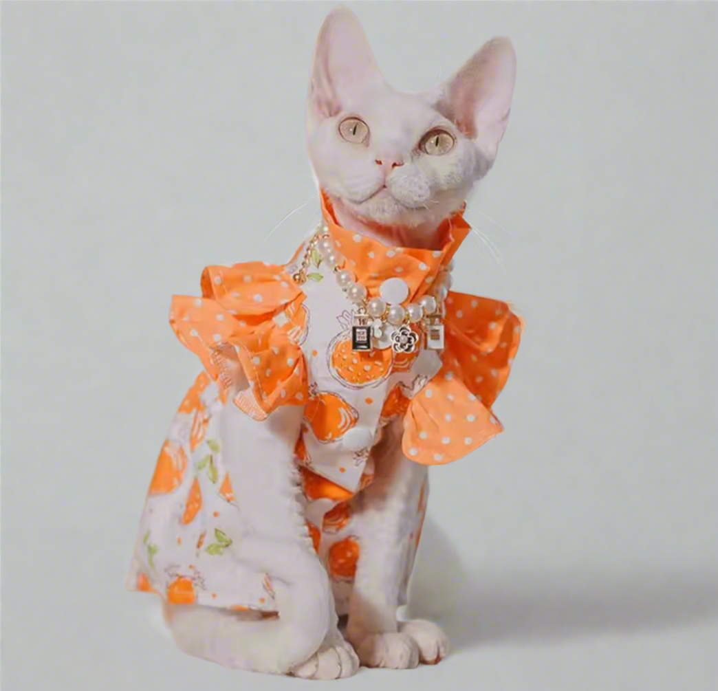 Pomegranate Fruit Sphynx Cat Dress