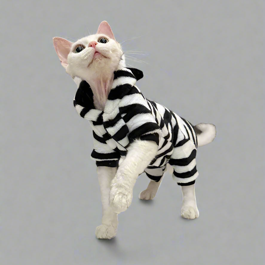 Zebra Print 4-Legged Sphynx Cat Hoody