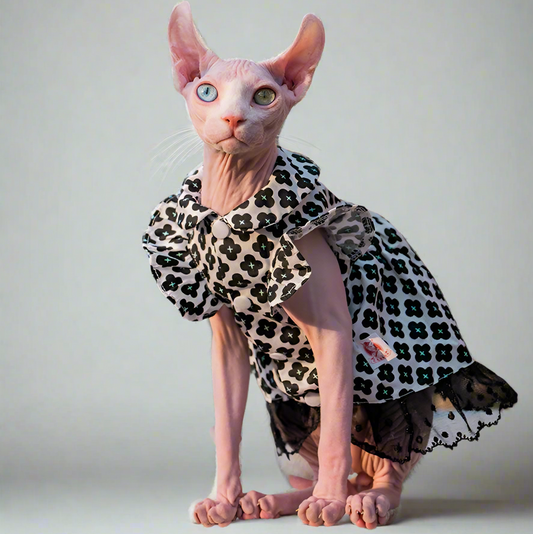 Sphynx Cat Black Lace Flower Dress