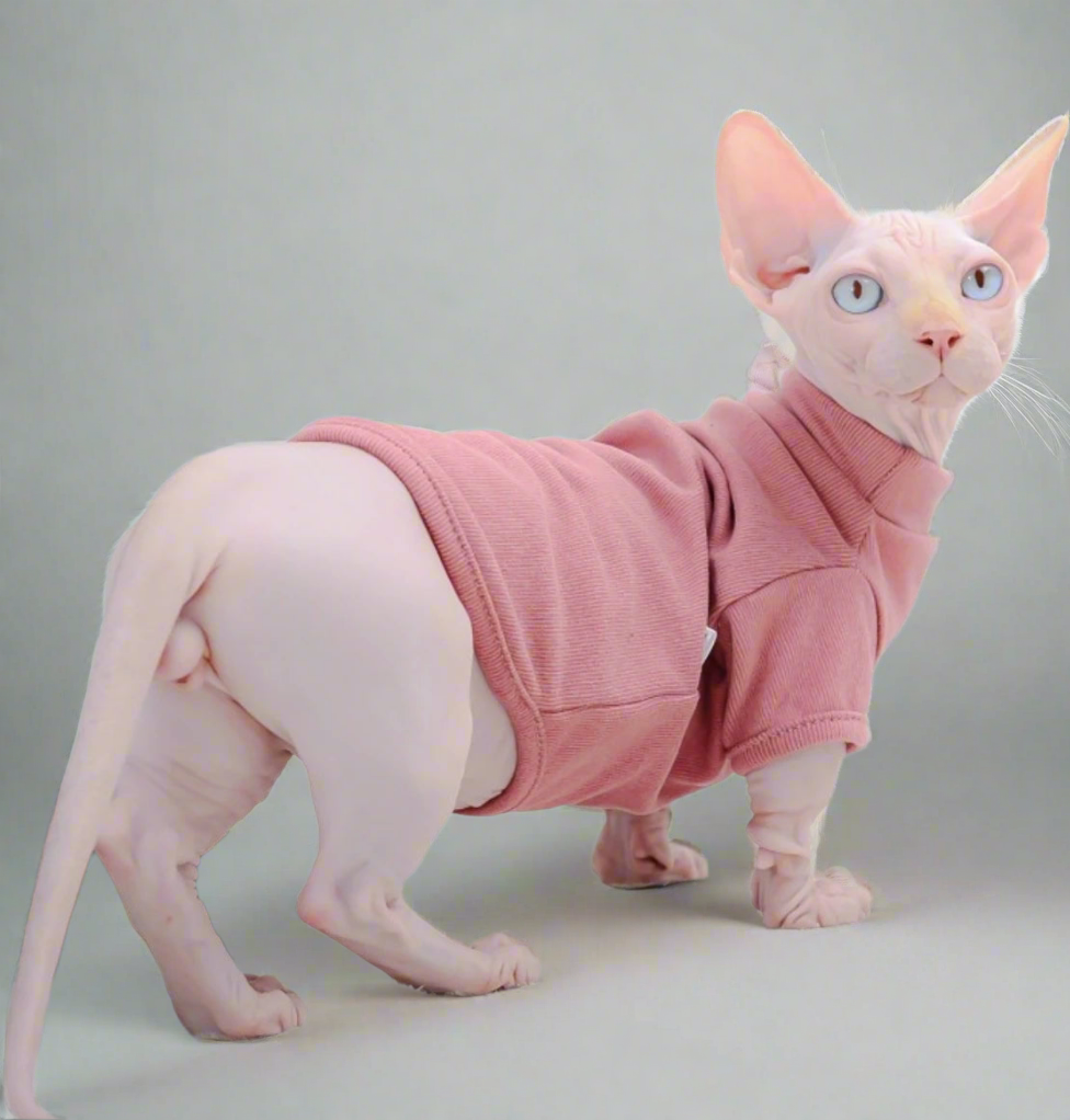 Basic Sphynx Cat T-shirt