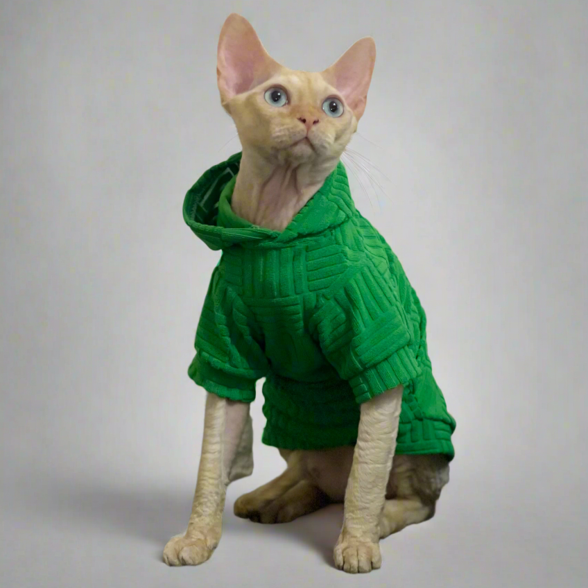 Green Sphynx Cat Hoody