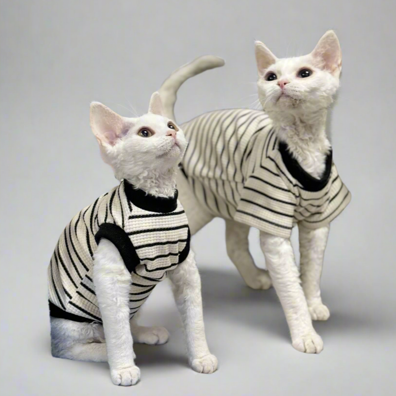 Black & White Stripe Sphynx Cat T-shirts and Vests