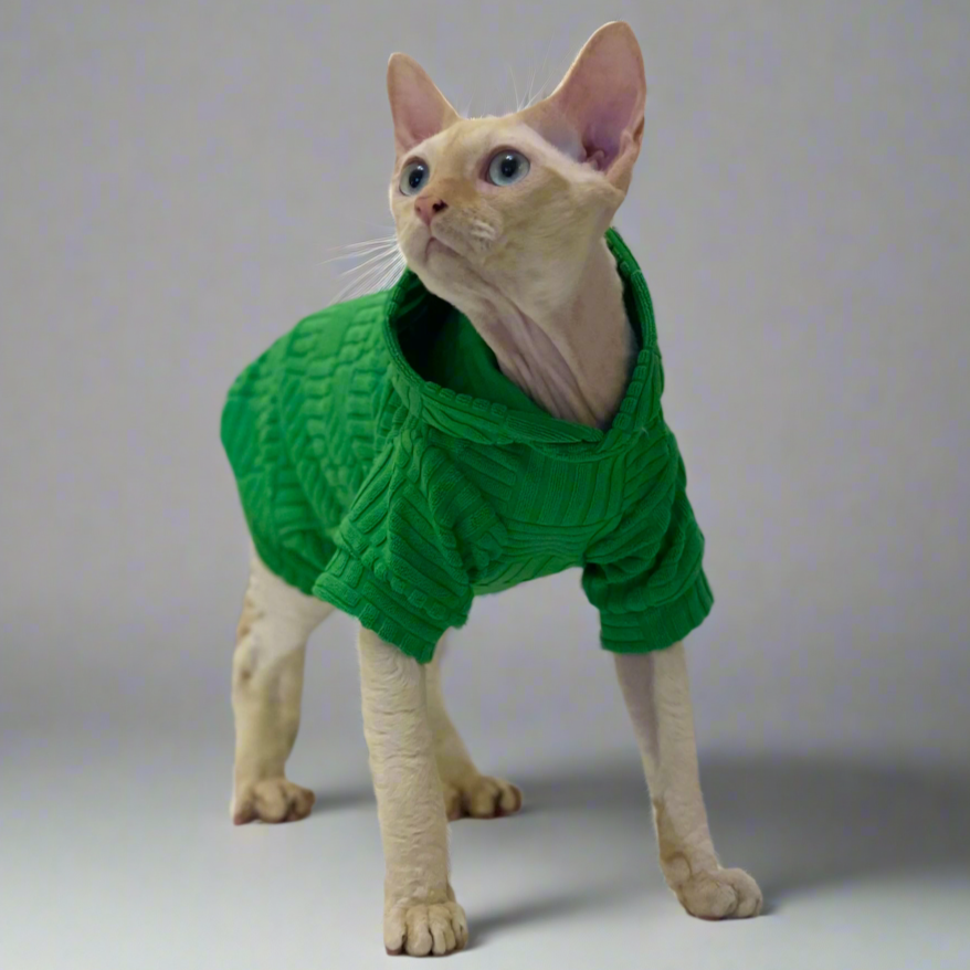 Green Sphynx Cat Hoody