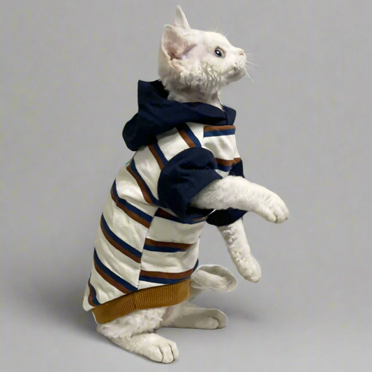 Oxford Striped Sphynx Cat Hoody