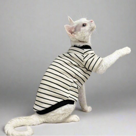 Black & White Stripe Sphynx Cat T-shirts and Vests