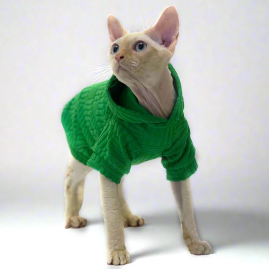 Green Sphynx Cat Hoody