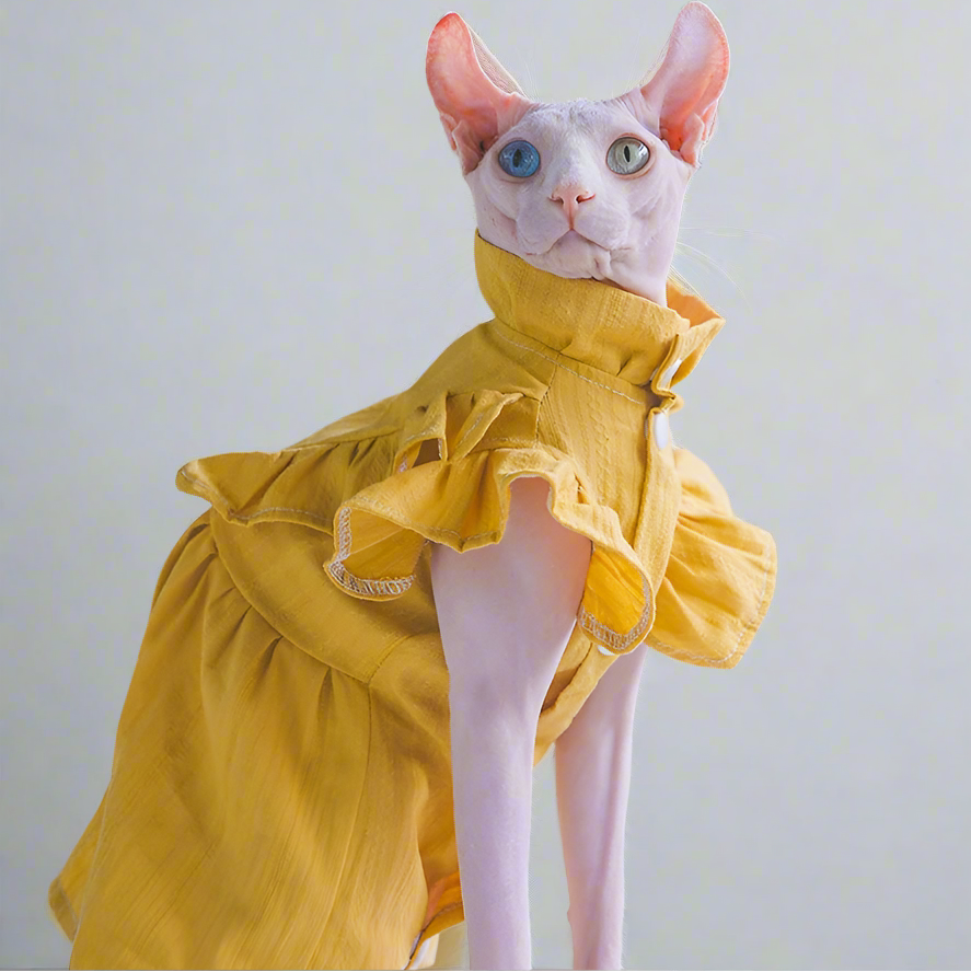 Mustard Yellow Cotton Sphynx Cat Dress