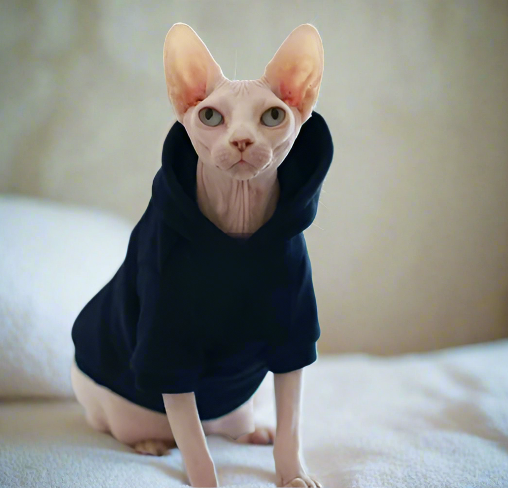 Sweat à capuche chat Sphynx - Bleu